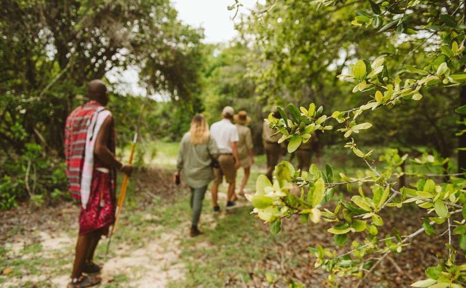 Walking Safari
