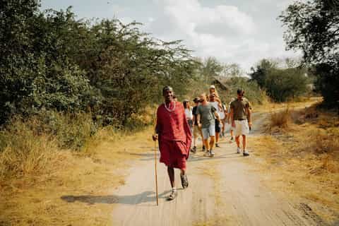 Walking Safari