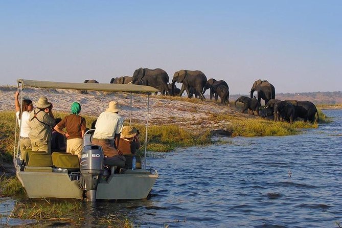 Tanzania: Where Wild Safaris Meet Endless Beaches