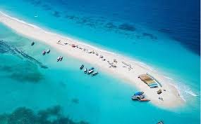 Best Time to Visit Tanzania for Safari & Beach