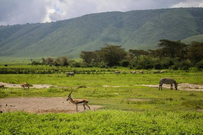 Ngorongoro Conservation Area