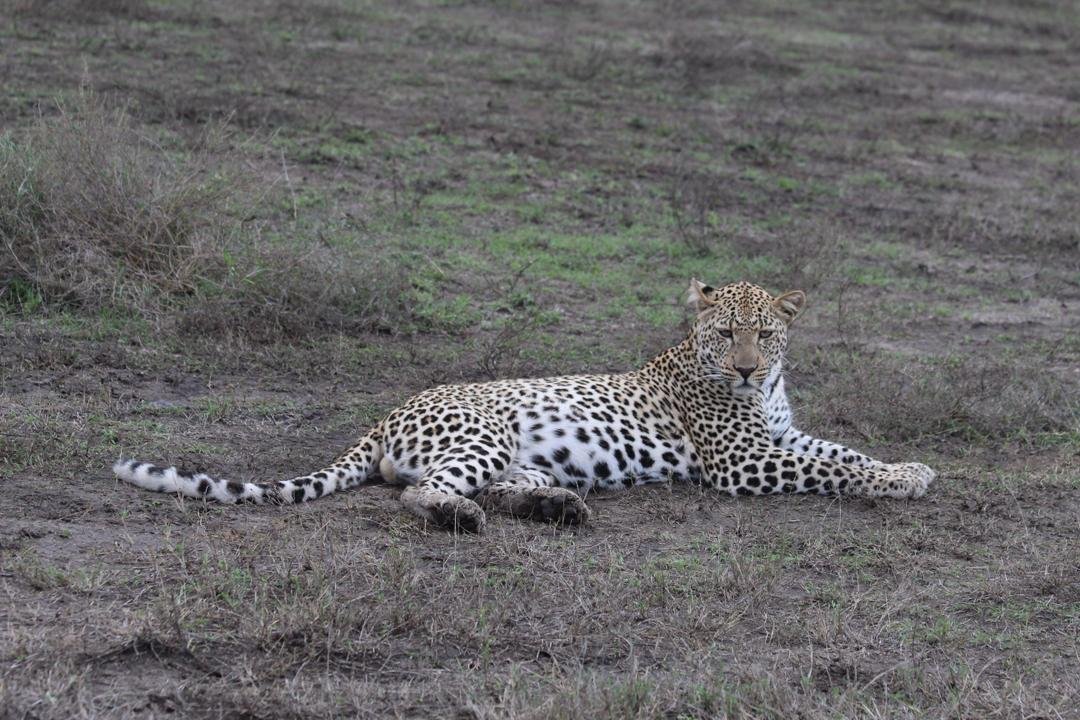 Nyerere National Park