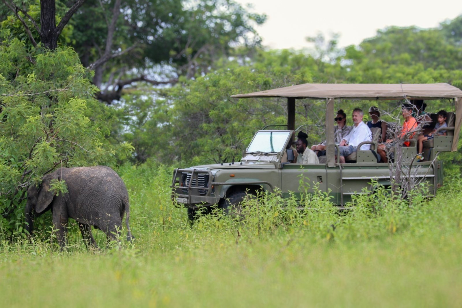 2-Day Wildlife Focus Safari Flying from Zanzibar to Nyerere NP (Selous Game Reserve)