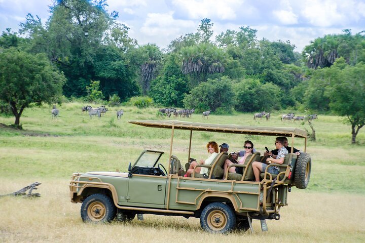 3-Day Safari from Zanzibar to Nyerere NP – Triple Game Drives