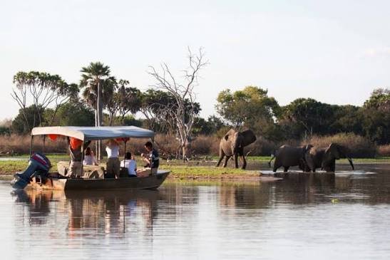 3-Day Safari from Zanzibar to Nyerere NP – Triple Game Drives