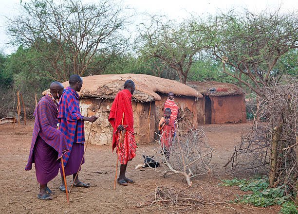 3-Day Zanzibar to Nyerere Wildlife Safari with Walking & Boat