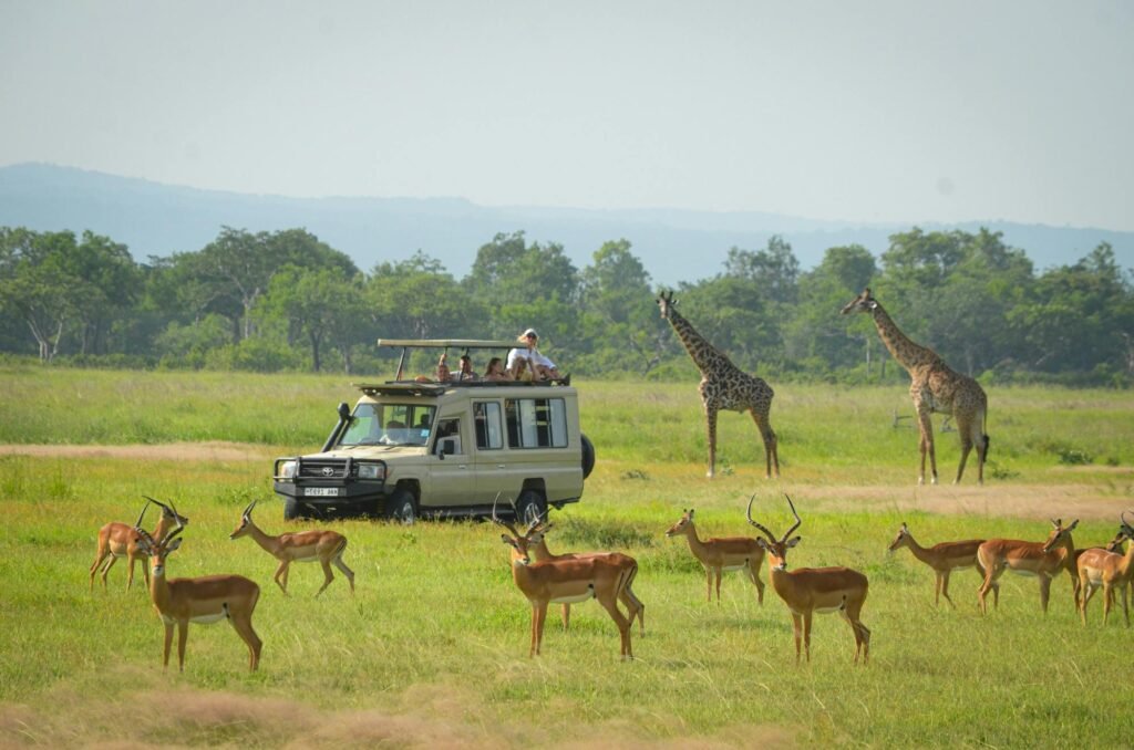 5-Day Southern Tanzania Safari Nyerere NP And Mikumi NP